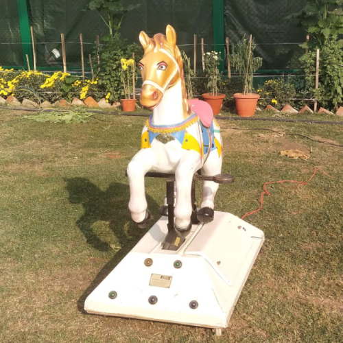 Kids coin ride